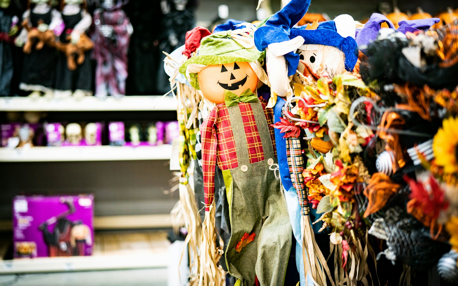 Read more about the article Half Term in Harrogate: A Family Guide to October’s Best Days Out