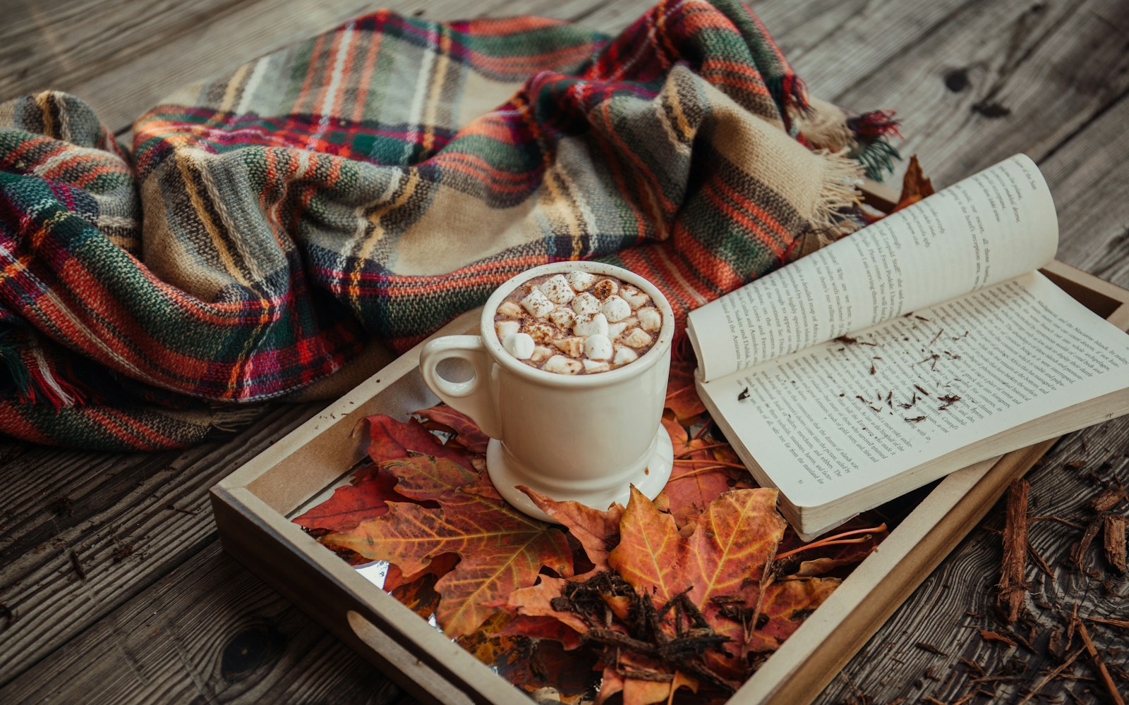 Read more about the article Raworths Harrogate Literature Festival 2026: A Local’s Guide to Two Weeks of Big Names and Great Stories
